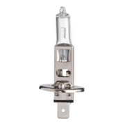 Scharnberger+Hasenbein Autolampe Halogen H1 P14,5s 12V 55W 81111-3