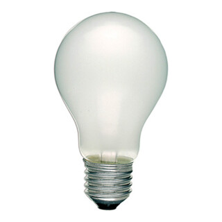 Scharnberger+Hasenbein Glühlampe B60x105mm E27 24V 40W matt