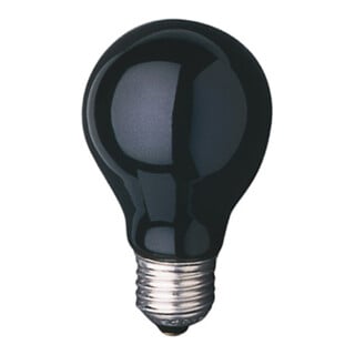 Scharnberger+Hasenbein Lampe à lumière noire E27 235V 75W 40882