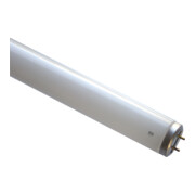Scharnberger+Hasenbein Lampe fluorescente T12 37x590mm G13 20W/BL 44144-1