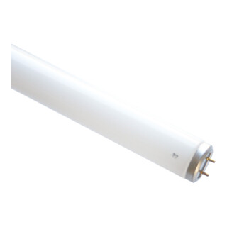 Scharnberger+Hasenbein Lampe fluorescente T12 38 x 740 mm G13 33W/840