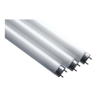 Scharnberger+Hasenbein Lampe fluorescente T8 26x437mm G13 15W BL 44143