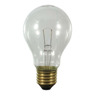 Scharnberger+Hasenbein Lampe polyvalente 60x105 E27 230V 7W claire 57400