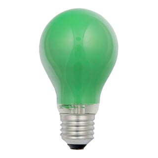 Scharnberger+Hasenbein Lampe polyvalente B60x105 E27 230V 15W vert