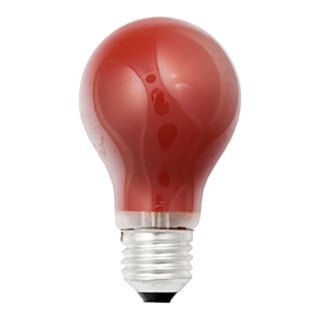 Scharnberger+Hasenbein Lampe polyvalente B60x105 E27 230V 40W rouge