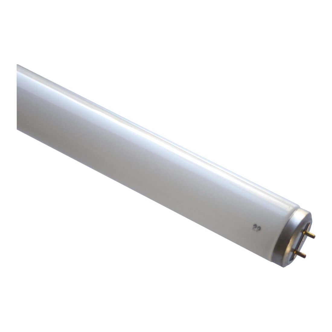 Scharnberger+Hasenbein Leuchtstofflampe T12 37x590mm G13 40W/BL 44148
