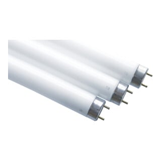 Scharnberger+Hasenbein Leuchtstofflampe T8 26x330mm G13 4000K