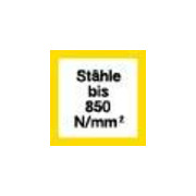 Scheibenfr. D885A HSSE 100x 6,0mm FORMAT