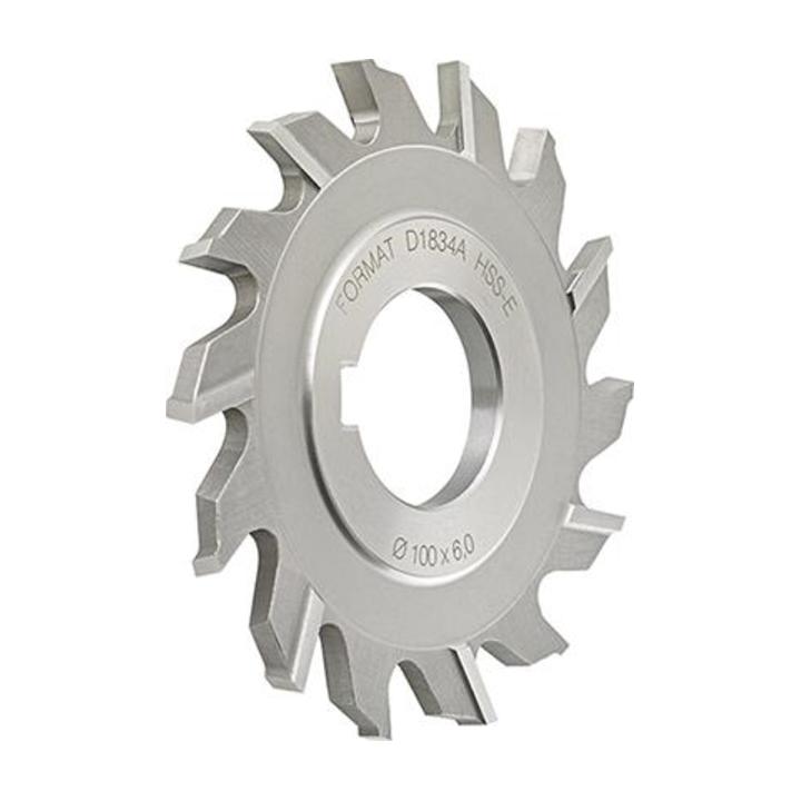 Scheibenfr. D885A HSSE 100x 8,0mm FORMAT