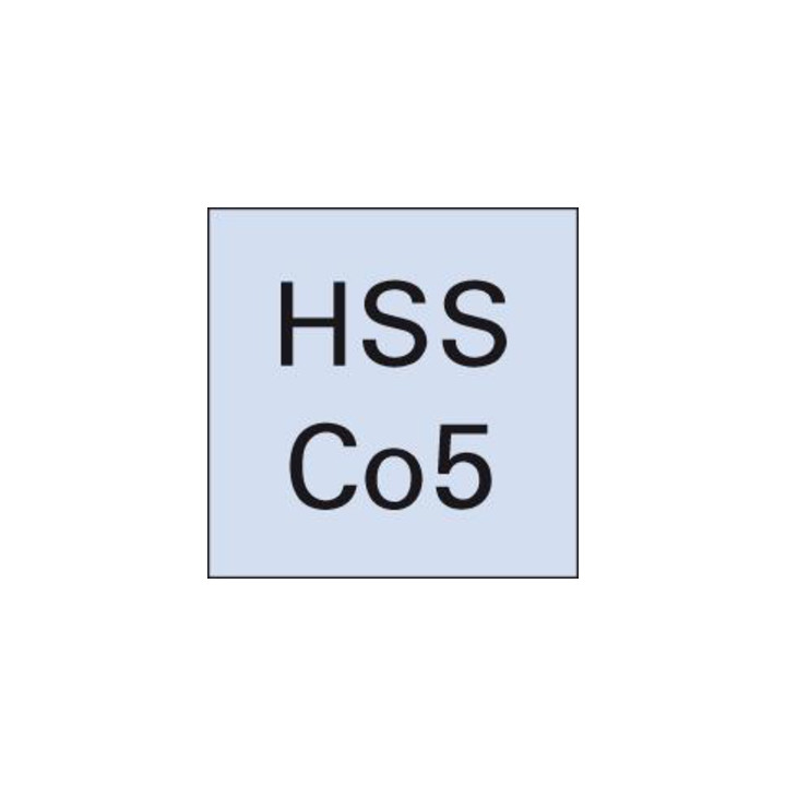Scheibenfr. D885A HSSE 100x 8,0mm FORMAT