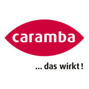 CARAMBA Scheibenreiniger mit Frostschutz, Konzentrat für bis zu-50°C, 25l Kanister -3