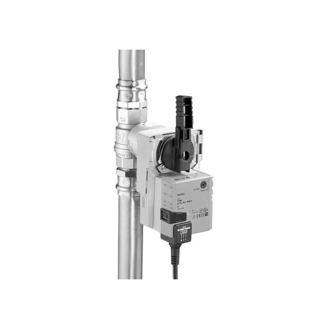 Schell Robinet anti-fuite SWS Raccord/Sortie DN 50 G 2, Câble