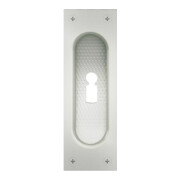 Schiebetürmuschel 42 4211 BB L.120mm B.40mm Alu. 0105 ktg. EL.-T. 11,5mm FSB