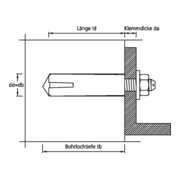 Celo Schlaganker SFA-5