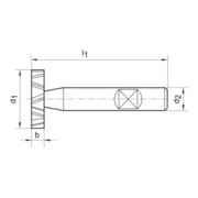 Schlitzfr. D850D K HSSCo528,5x5,0mm FORMAT-2