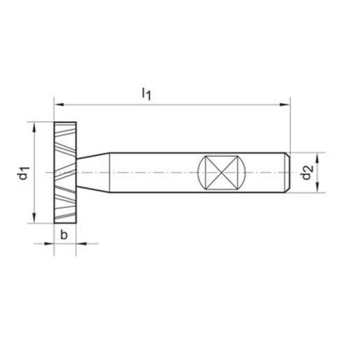 Schlitzfr. D850D K HSSCo528,5x6,0mm FORMAT