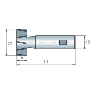 Schlitzfräser DIN 850D Typ N HSS-Co Z.14