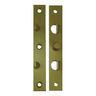 Schnegel sangle plate de sécurité L.140mm B.22mm S.3mm STA galv. 006/785/V dans boîte avec vis