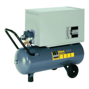 Schneider compressor SEM 255-10-50 W-1