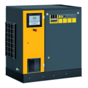 Schneider Compressore AM D 22-13 XVS-1