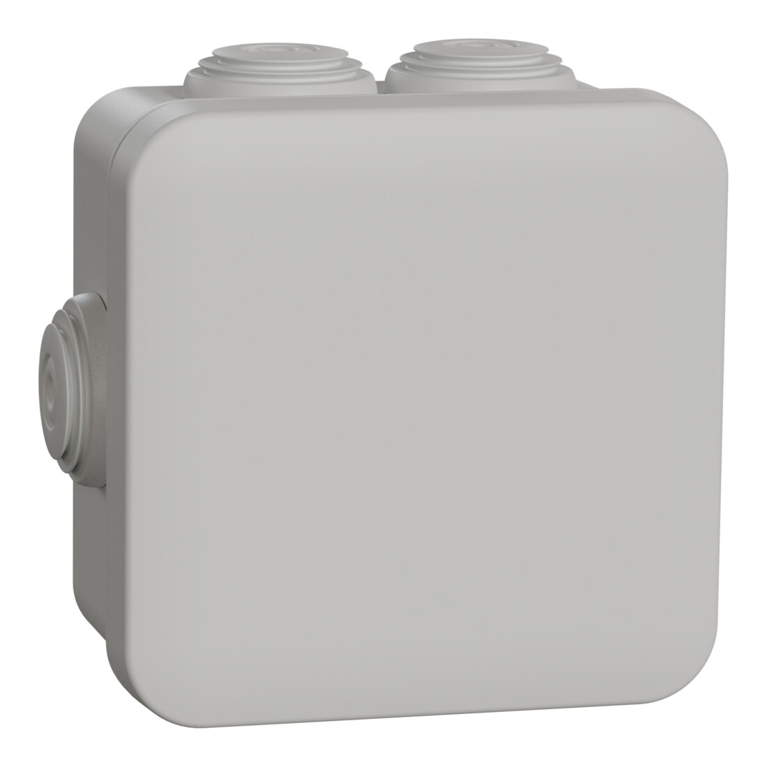 Schneider Electric Abzweigdose ENN05004