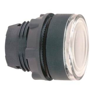 Schneider Electric Bouton-poussoir lumineux blanc, plat pour module LED ZB5AW313