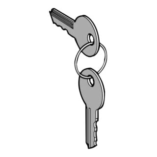 Schneider Electric Clé de rechange ZBG455