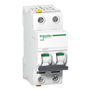 Schneider Electric Disjoncteur IC60N 2P 10A B A9F03210