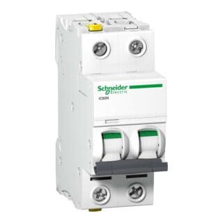 Schneider Electric Disjoncteur LS 2P 10A C IC60N A9F04210