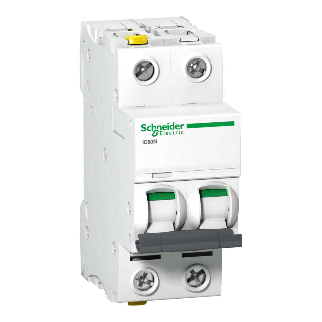 Schneider Electric Disjoncteur LS 2P 2A C IC60N A9F04202