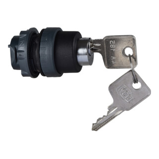Schneider Electric Interrupteur à clé 2 positions 4A185 ZB5AFDA