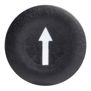 Schneider Electric Plaque de bouton ronde plate ZBA335