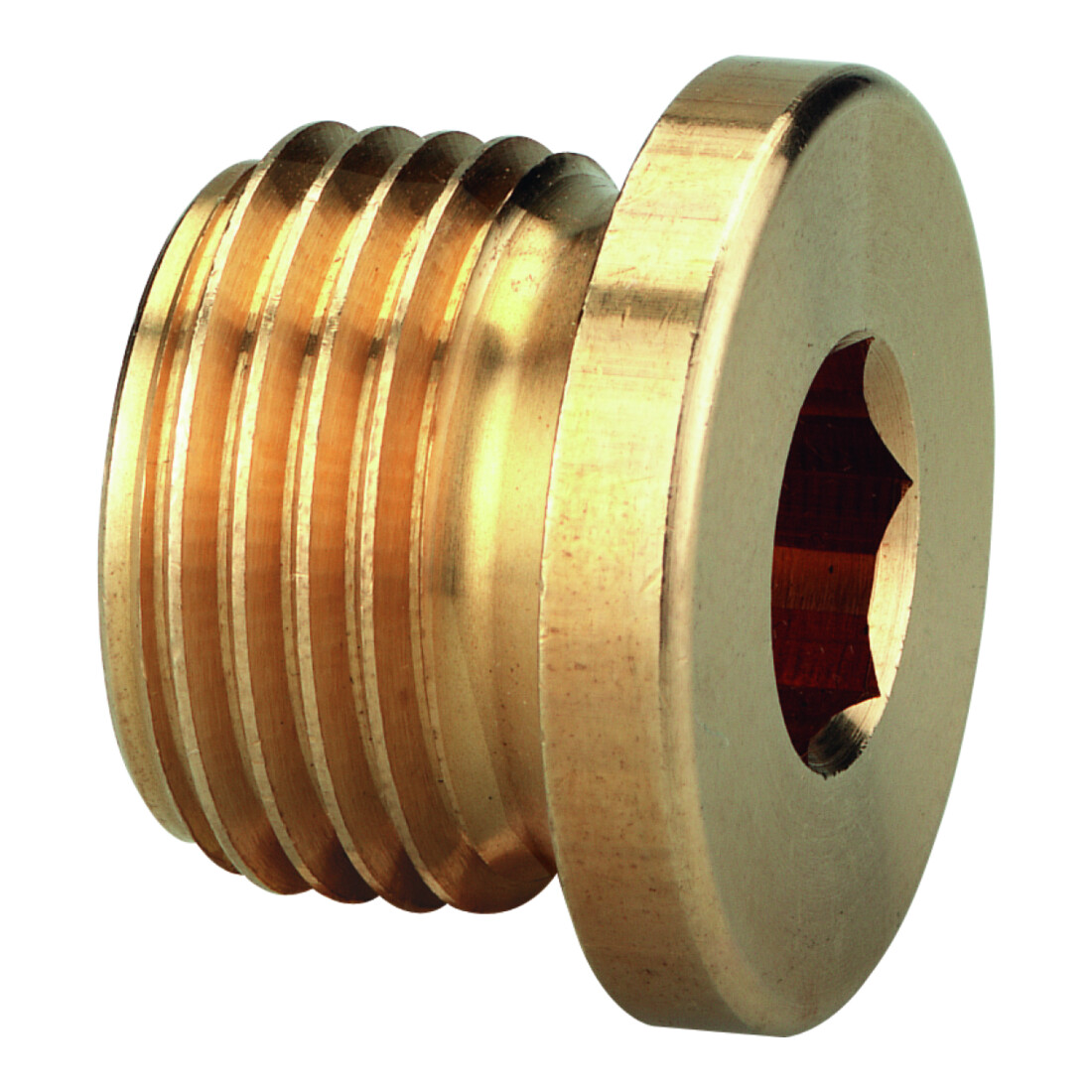 Schneider Verschlußschr. VSS-MS-I-B-G1/4a