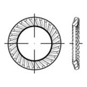 ART 88120 Schnorr Sperrzahnscheibe beidseitig gezahnt, Form S, Federstahl-3