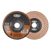 Schruppscheibe RONDELLER® D178xSmm gekr.NE-Metalle Bohr.22,23mm TYROLIT-1