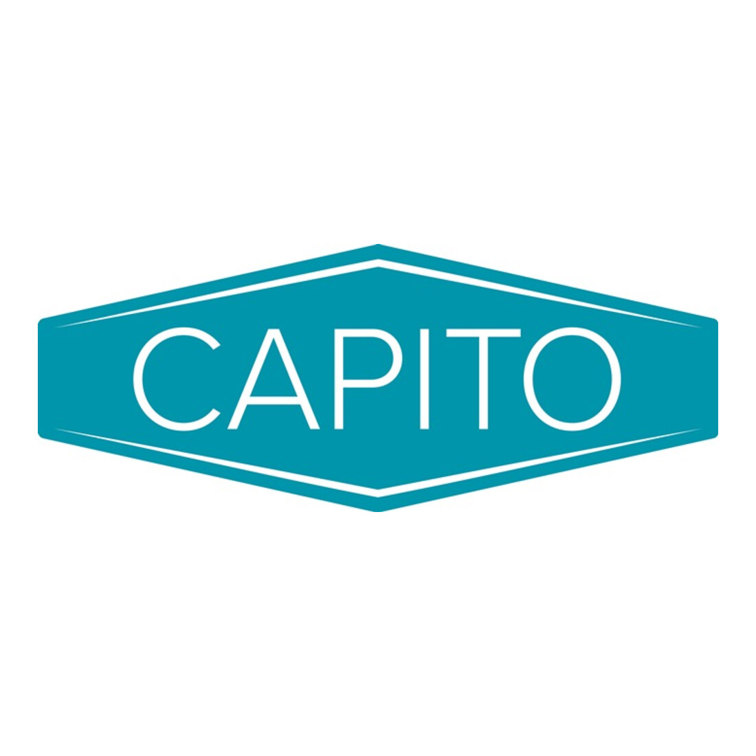 Schubkarre Carry 85l Luftrad Stahlfelge m.Kunststoffgleitl.CAPITO