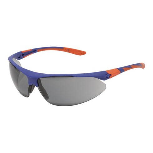 Schutzbrille