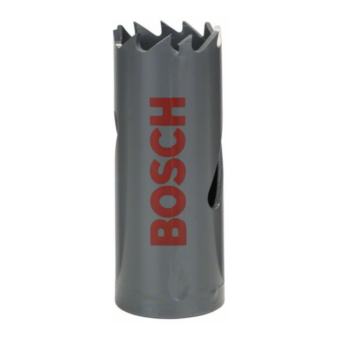 Scie cloche Bosch bimétallique HSS pour adaptateur standard