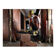 Scie spéciale DEWALT 1700 Watt DWE397-QS-2