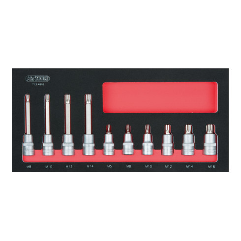 SCS Module de douilles, XZN, 10 pcs., modules système 1/3