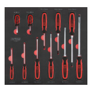 SCS Module de tournevis ERGOTORQUEplus, 11 pcs., modules système 2/3-1