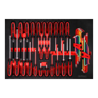 SCS Module de tournevis ERGOTORQUEplus, 41 pcs, modules système 1/1 KS Tools