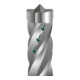 SDS-max P4P / 32 x 520 mm
