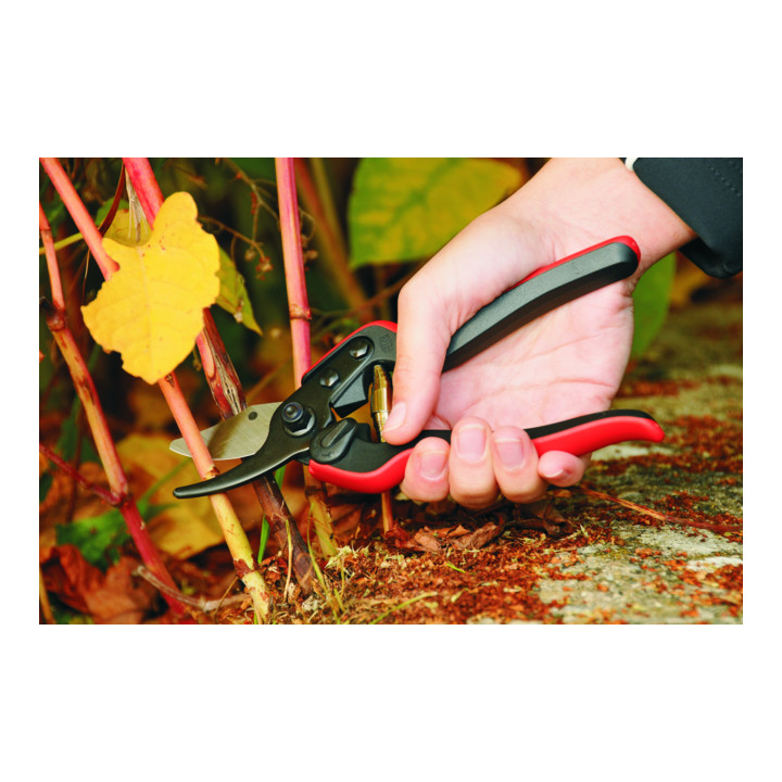 Sécateur à une main Modèle pour petite main Felco