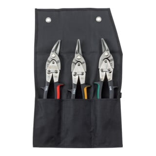Bessey Set de cisailles pour figures DSET16