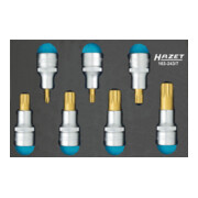 HAZET Set di bussole per cacciavite (XZN) 163-243/7 quadro cavo 12,5mm (1/2 pollice) profilo a poligono interno XZN M6 - M18, 7pz.