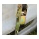 ShelterLogic Serre 4,32 m² 240 x 180 x 200 cm