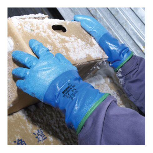 SHOWA Gants d'hiver Temres 282- 8 (M)