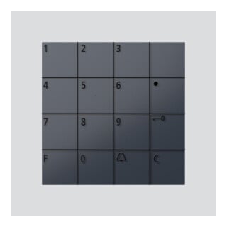 Siedle Codeschloss-Modul COM 611-02 anthrazitgrau
