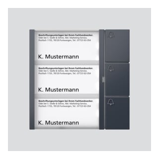 Siedle Module à touches TM 612-3 AG anthracite gris